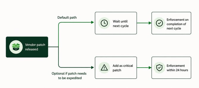 Critical Patching